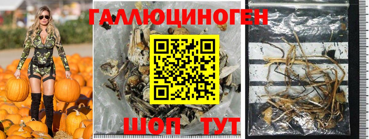 Псилоцибиновые грибы GOLDEN TEACHER Елизово