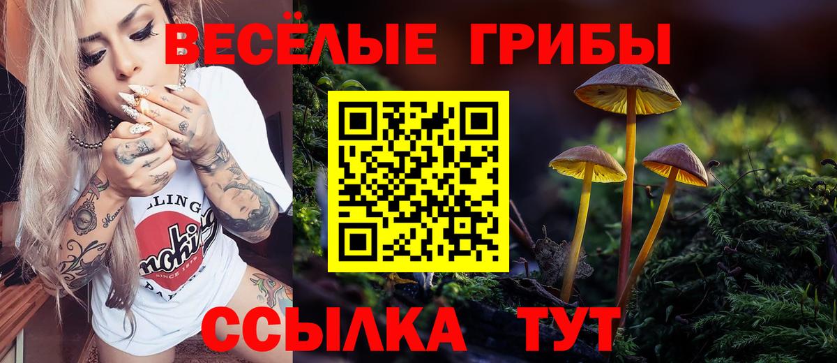 Псилоцибиновые грибы мухоморы  Вход с VPN  Елизово  Галлюциногенные грибы прущие грибы 