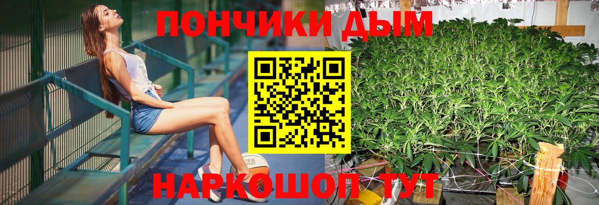 Бошки Шишки THC 21% Елизово